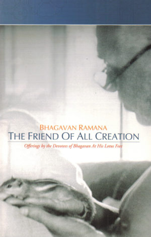 Book cover for The Friend of All Creation