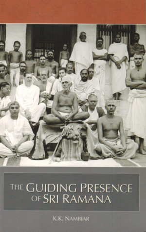 Book cover for The Guiding Presence